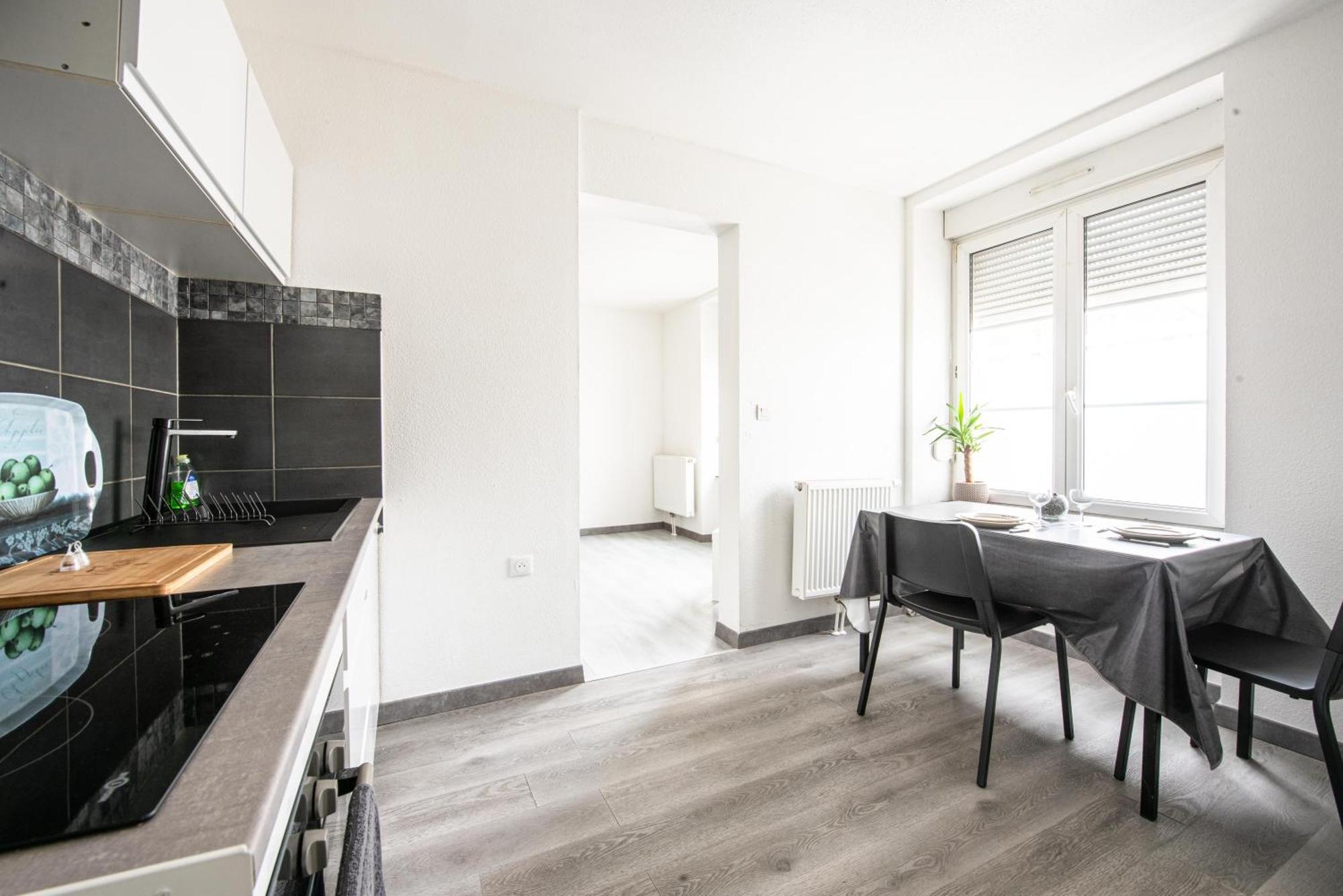 Apartamento Oasis Mulhousien - Rdc, Wifi, Parking Mulhouse Exterior foto