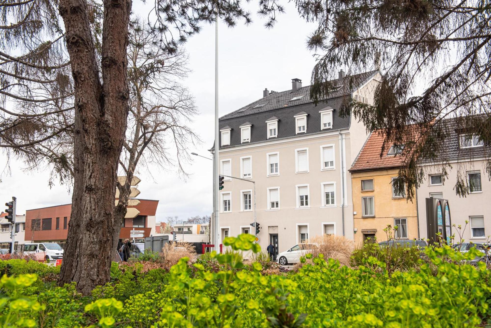 Apartamento Oasis Mulhousien - Rdc, Wifi, Parking Mulhouse Exterior foto